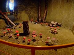 149 MUSEE DU CHAMPIGNON A  SAUMUR 2016 1_000046